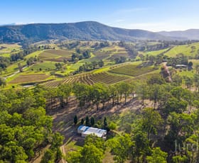 Rural / Farming commercial property sold at 481 Mount View Road Mount View NSW 2325