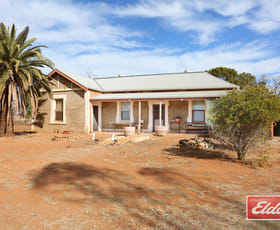 Rural / Farming commercial property sold at 94 Robertson Road Towitta SA 5353