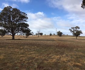 Rural / Farming commercial property sold at 138 Cultowa Lane Canowindra NSW 2804