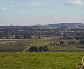 Rural / Farming commercial property for sale at 378 Richard Street Penrice SA 5353