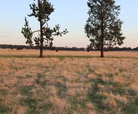 Rural / Farming commercial property sold at Mid Western Highway West Wyalong NSW 2671