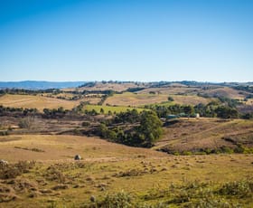 Rural / Farming commercial property sold at 681 Princes Hwy Black Range NSW 2550