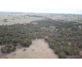 Rural / Farming commercial property sold at Dalton NSW 2581