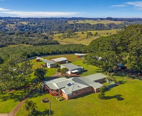 Rural / Farming commercial property sold at 30 Mollys Grass Road Tregeagle NSW 2480