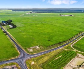 Rural / Farming commercial property sold at 50 Neechy Flat Road Kongorong SA 5291