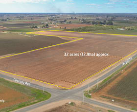 Rural / Farming commercial property for sale at Block/360 & 361 Myall Street Red Cliffs VIC 3496