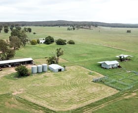 Rural / Farming commercial property sold at 'Appletree Flat' 1864 Castlereagh Hwy Mendooran NSW 2842