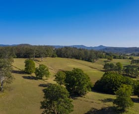 Rural / Farming commercial property sold at Stewarts River Road Lorne NSW 2439
