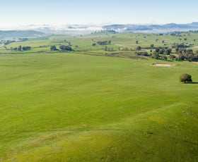 Rural / Farming commercial property sold at 404 Sylvia’s Gap Road Tumblong NSW 2729