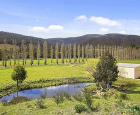 Rural / Farming commercial property sold at 684 Buxton- Marysville Road Buxton VIC 3711