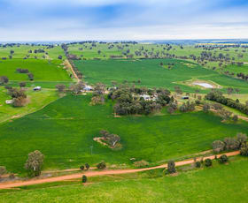 Rural / Farming commercial property sold at 'MULLEMBLAH' 254 Mullemblah Road Alma Park NSW 2659