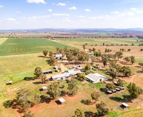 Rural / Farming commercial property sold at 191 Troopers Road Canowindra NSW 2804