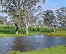 Rural / Farming commercial property sold at 144 Humphries Rd Sandford VIC 3312