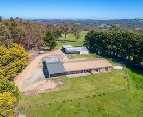 Rural / Farming commercial property sold at 51 BEARDS TRACK Shady Creek VIC 3821