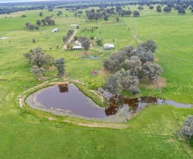 Rural / Farming commercial property sold at 1287 Allans Lane Bobinawarrah VIC 3678