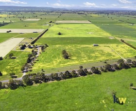 Rural / Farming commercial property sold at 1230 Cairnbrook Road Glengarry VIC 3854