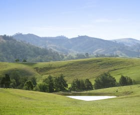 Rural / Farming commercial property sold at 2704 Mirannie Road Singleton NSW 2330
