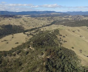 Rural / Farming commercial property for sale at Level Lot 52/916 Peach Tree Road Megalong Valley NSW 2785