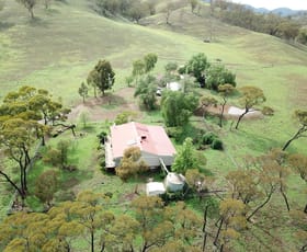 Rural / Farming commercial property sold at 320 Wisemans Arm Road Tamworth NSW 2340