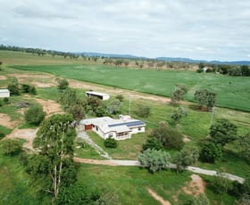 Rural / Farming commercial property sold at 387 Soldiers Settlement Road Tamworth NSW 2340