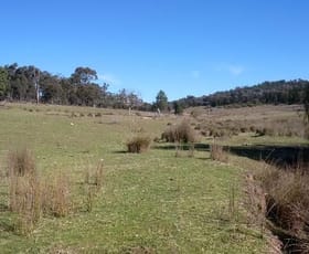 Rural / Farming commercial property sold at 655 Monaghans Rd Manildra NSW 2865