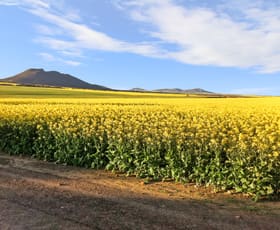 Rural / Farming commercial property sold at 4502 Flinders Highway Wangary SA 5607
