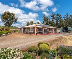 Rural / Farming commercial property sold at 463 Ironcliffe Road Penguin TAS 7316