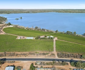 Rural / Farming commercial property sold at 89 Kingston Road Moorook SA 5332
