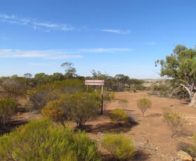 Rural / Farming commercial property sold at Canna WA 6627