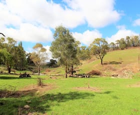 Rural / Farming commercial property sold at Meadow Flat NSW 2795