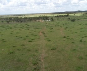 Rural / Farming commercial property sold at 174 Helenslee Road Homestead QLD 4816