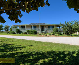 Rural / Farming commercial property sold at 21 Putta Bucca Road Mudgee NSW 2850