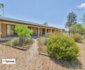 Rural / Farming commercial property sold at 135 Whitehouse Lane Tamworth NSW 2340