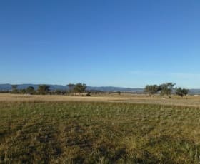 Rural / Farming commercial property sold at 228 Jenners Lane Winton NSW 2344