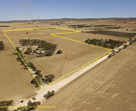 Rural / Farming commercial property sold at 87 Hills Road Robertstown SA 5381