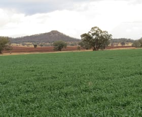 Rural / Farming commercial property sold at 2646 Gineroi Road Warialda Rail NSW 2402