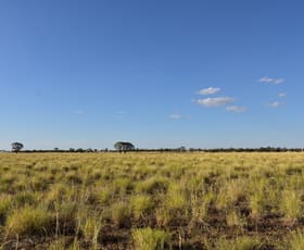 Rural / Farming commercial property sold at Longreach QLD 4730