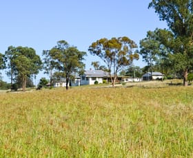 Rural / Farming commercial property sold at 2936 Stonehenge Road Stonehenge QLD 4357