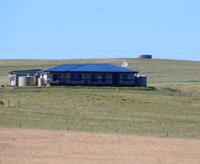 Rural / Farming commercial property sold at 18120B Flinders Highway Colton SA 5670