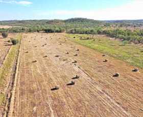 Rural / Farming commercial property sold at 965 Strickland Rd Adelaide River NT 0846
