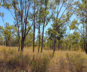 Rural / Farming commercial property sold at 1160 Mount Alma Road Bracewell QLD 4695