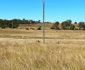 Rural / Farming commercial property sold at Lot 7 Woodgate Road Crossdale QLD 4312