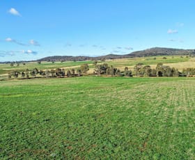 Rural / Farming commercial property sold at 45 Martins Lane Wellington NSW 2820
