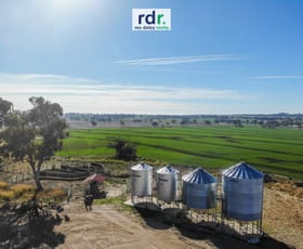 Rural / Farming commercial property sold at 884 Glenesk Road Delungra NSW 2403
