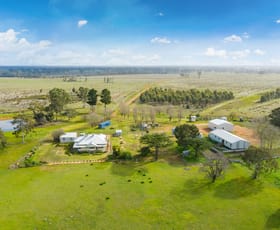 Rural / Farming commercial property sold at 228 Phillips and Wests Road Kadnook VIC 3318