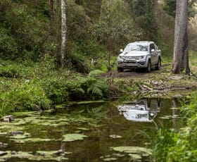 Rural / Farming commercial property for sale at McPhersons Country Estates, Enfield Range Road Cells River NSW 2424