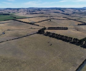 Rural / Farming commercial property sold at Walcha NSW 2354