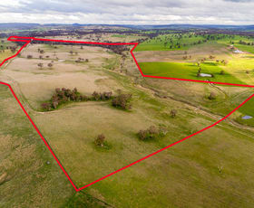 Rural / Farming commercial property sold at 333 Bosworth Falls Road O'connell NSW 2795