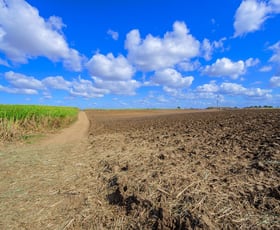 Rural / Farming commercial property for sale at 18 Aloha Drive Avoca QLD 4670