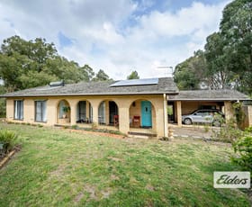Rural / Farming commercial property sold at 599 Tinonee Road Mondrook NSW 2430